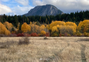 0 Westside, Cle Elum, Washington 98922, ,Land,For Sale,Rodney Dunn Estate,Westside,NWM1857849