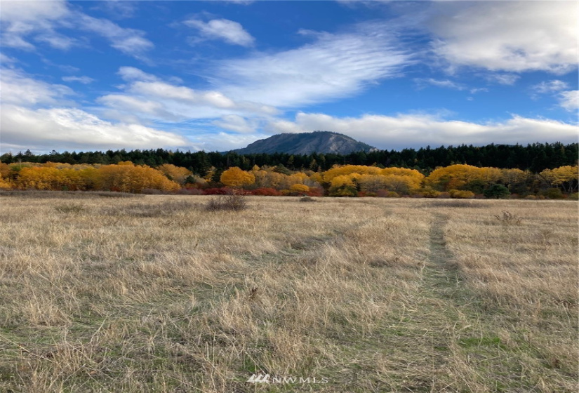 0 Westside, Cle Elum, Washington 98922, ,Land,For Sale,Rodney Dunn Estate,Westside,NWM1857849