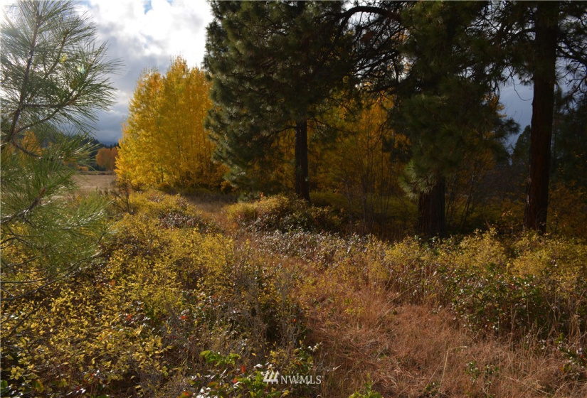 0 Westside, Cle Elum, Washington 98922, ,Land,For Sale,Rodney Dunn Estate,Westside,NWM1857849