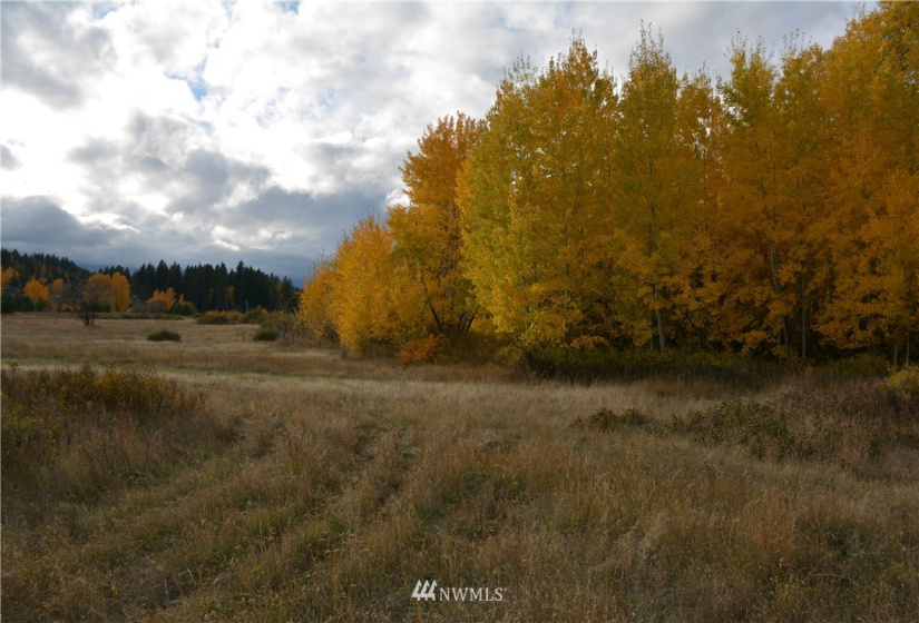 0 Westside, Cle Elum, Washington 98922, ,Land,For Sale,Rodney Dunn Estate,Westside,NWM1857849