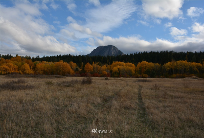 0 Westside, Cle Elum, Washington 98922, ,Land,For Sale,Rodney Dunn Estate,Westside,NWM1857849