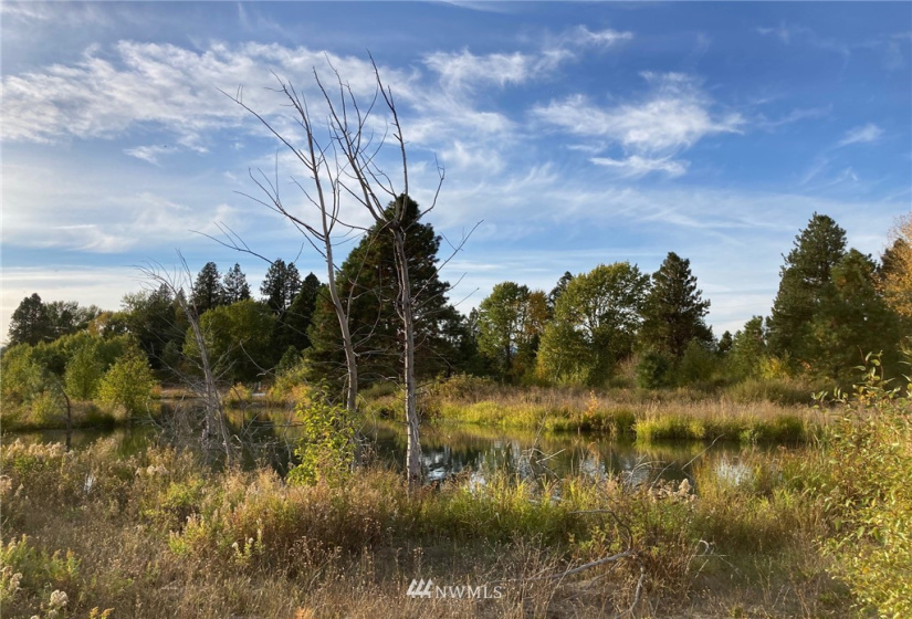 0 Westside, Cle Elum, Washington 98922, ,Land,For Sale,Rodney Dunn Estate,Westside,NWM1857849