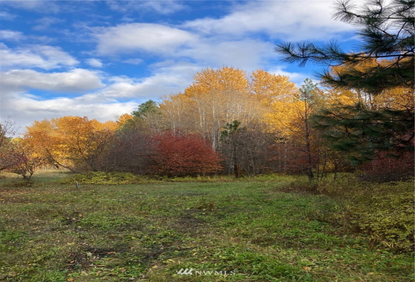 0 Westside, Cle Elum, Washington 98922, ,Land,For Sale,Rodney Dunn Estate,Westside,NWM1857849