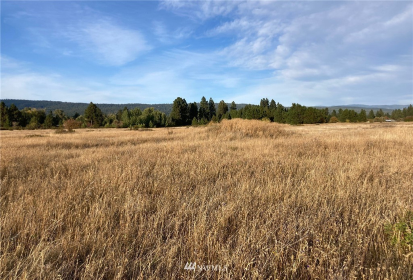 0 Westside, Cle Elum, Washington 98922, ,Land,For Sale,Rodney Dunn Estate,Westside,NWM1857849