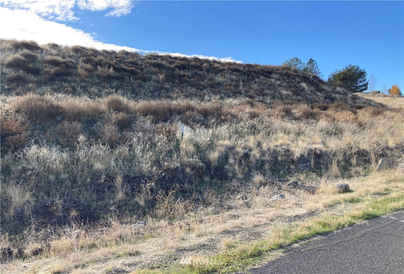 301 6th, Odessa, Washington 99159, ,Land,For Sale,6th,NWM1858103