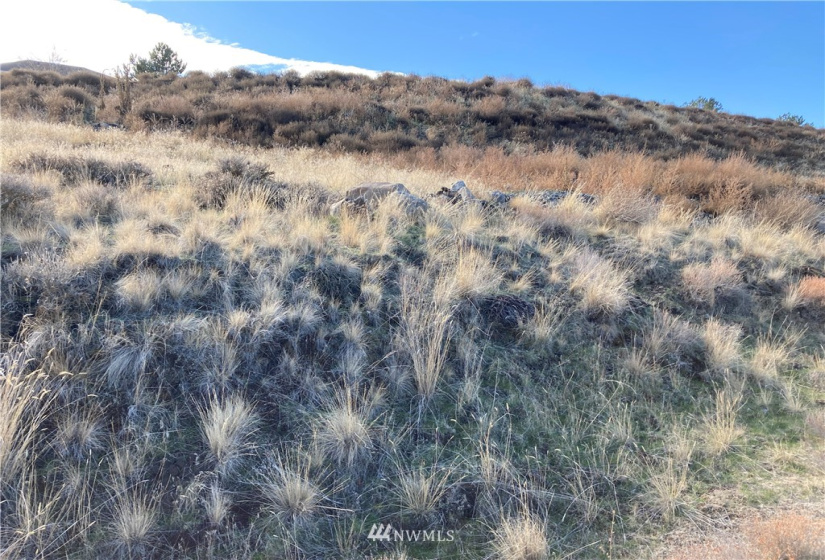301 6th, Odessa, Washington 99159, ,Land,For Sale,6th,NWM1858103