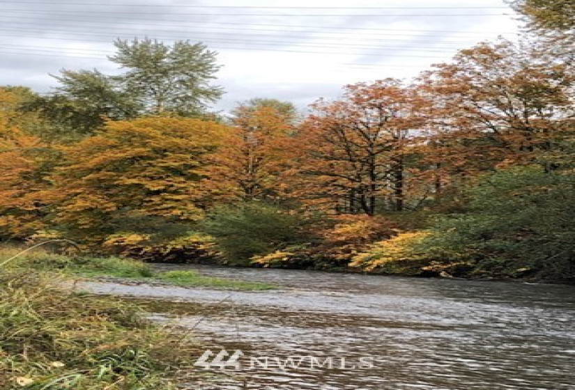 2505 2447 Maple Valley Hwy, Renton, Washington 98058, ,Commercial Sale,For Sale,Maple Valley Hwy,NWM1854309