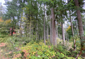 0 191st, Lakebay, Washington 98349, ,Land,For Sale,191st,NWM1858597