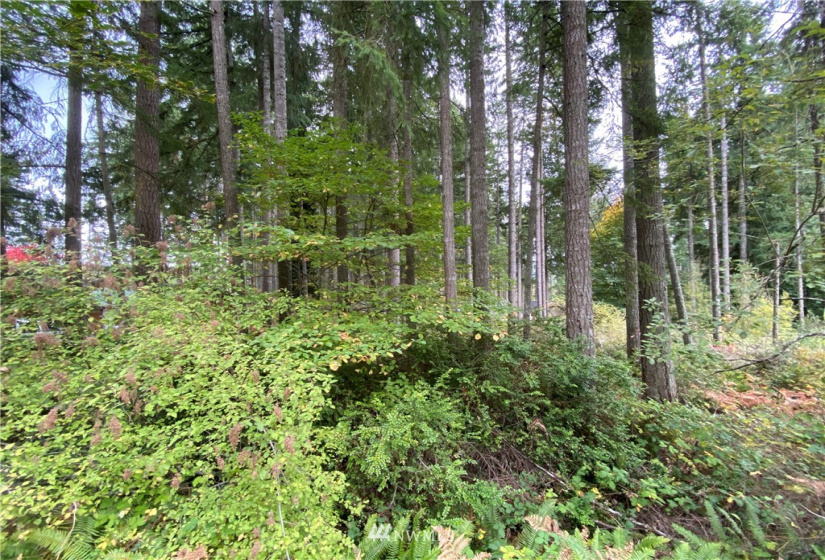 0 191st, Lakebay, Washington 98349, ,Land,For Sale,191st,NWM1858597