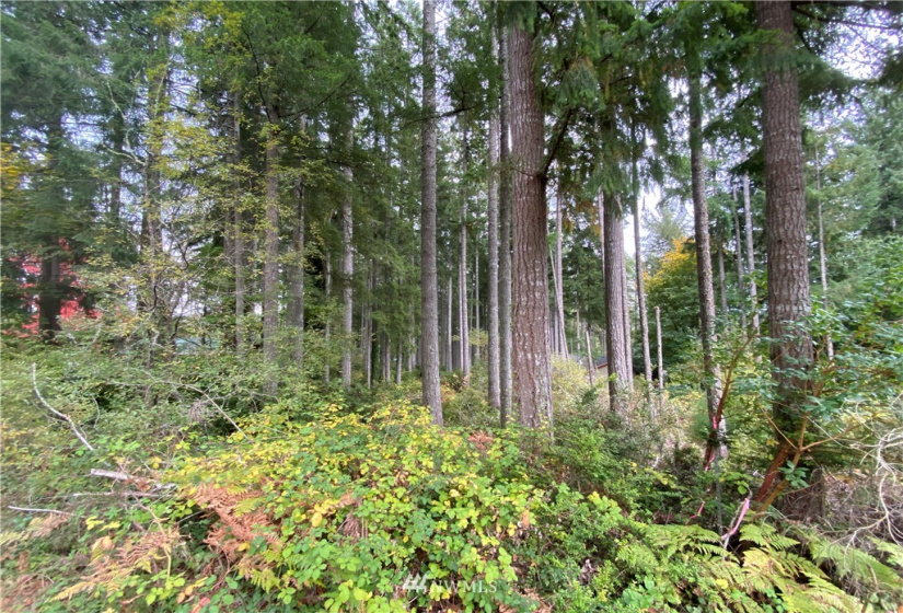 0 191st, Lakebay, Washington 98349, ,Land,For Sale,191st,NWM1858597