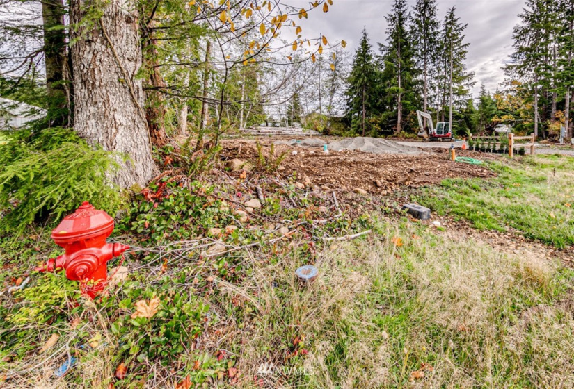 591 Brower, Forks, Washington 98331, ,Land,For Sale,KNUTSON SUBDIVISION,Brower,NWM1856462