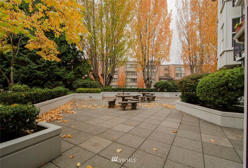 55 Williams, Renton, Washington 98057, 1 Bedroom Bedrooms, ,1 BathroomBathrooms,Residential,For Sale,55 WILLIAMS CONDOMINIUM,Williams,NWM1857830