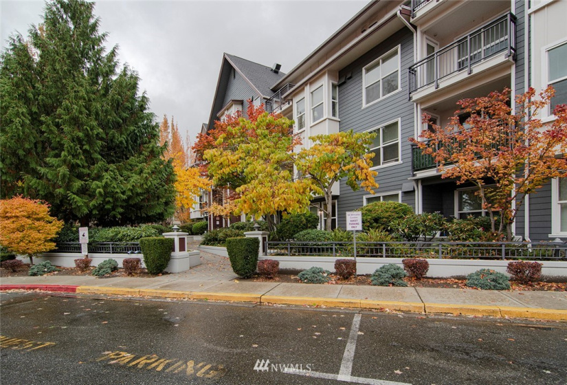 55 Williams, Renton, Washington 98057, 1 Bedroom Bedrooms, ,1 BathroomBathrooms,Residential,For Sale,55 WILLIAMS CONDOMINIUM,Williams,NWM1857830