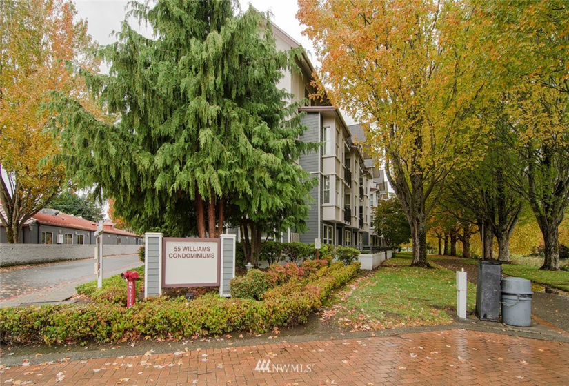 55 Williams, Renton, Washington 98057, 1 Bedroom Bedrooms, ,1 BathroomBathrooms,Residential,For Sale,55 WILLIAMS CONDOMINIUM,Williams,NWM1857830