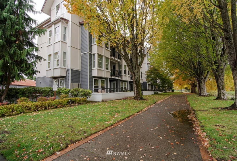 55 Williams, Renton, Washington 98057, 1 Bedroom Bedrooms, ,1 BathroomBathrooms,Residential,For Sale,55 WILLIAMS CONDOMINIUM,Williams,NWM1857830