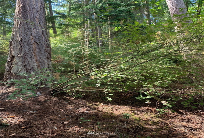 0 Harrington Lagoon, Coupeville, Washington 98239, ,Land,For Sale,Harrington Lagoon,NWM1859083