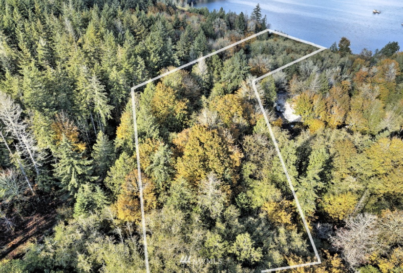 605 Yates, Shelton, Washington 98584, ,Land,For Sale,Yates,NWM1859160