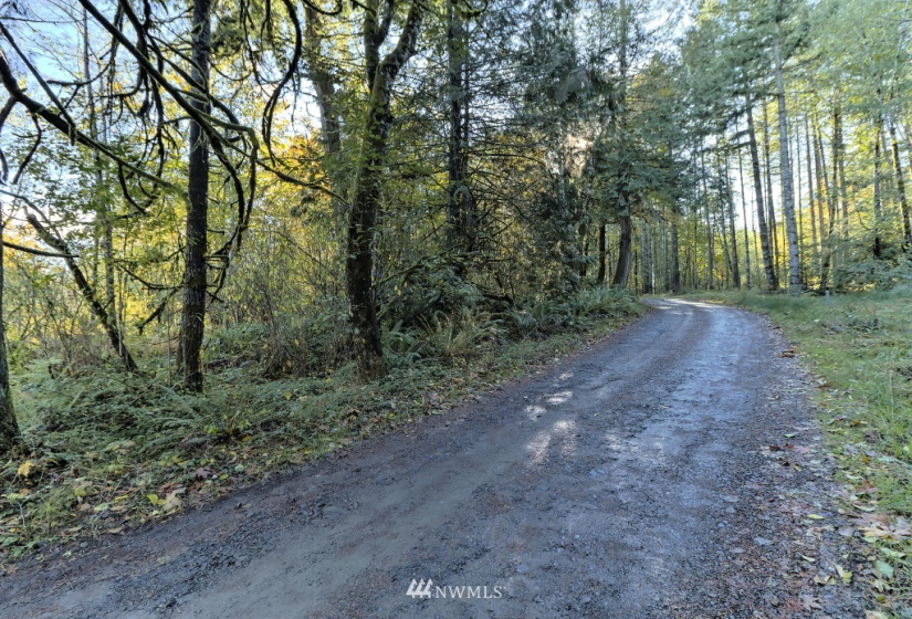 605 Yates, Shelton, Washington 98584, ,Land,For Sale,Yates,NWM1859160