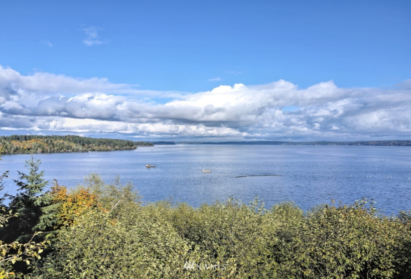 605 Yates, Shelton, Washington 98584, ,Land,For Sale,Yates,NWM1859160