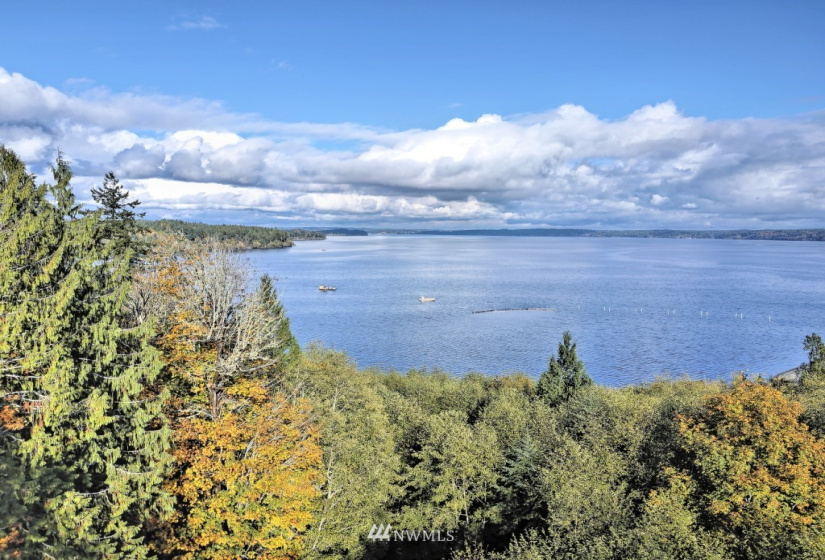 605 Yates, Shelton, Washington 98584, ,Land,For Sale,Yates,NWM1859160