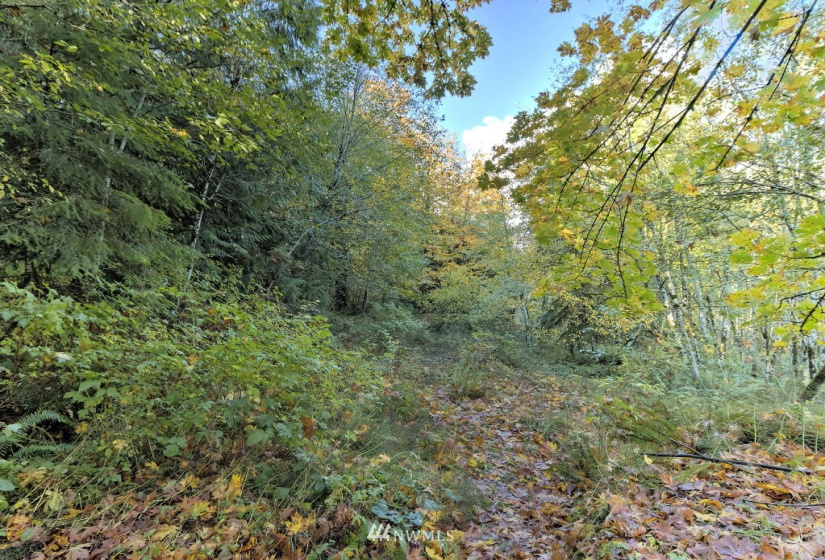 605 Yates, Shelton, Washington 98584, ,Land,For Sale,Yates,NWM1859160