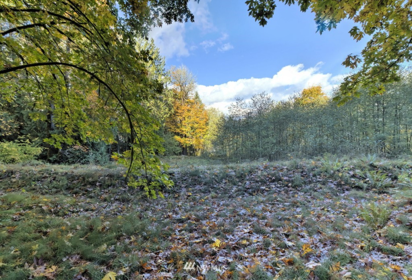 605 Yates, Shelton, Washington 98584, ,Land,For Sale,Yates,NWM1859160
