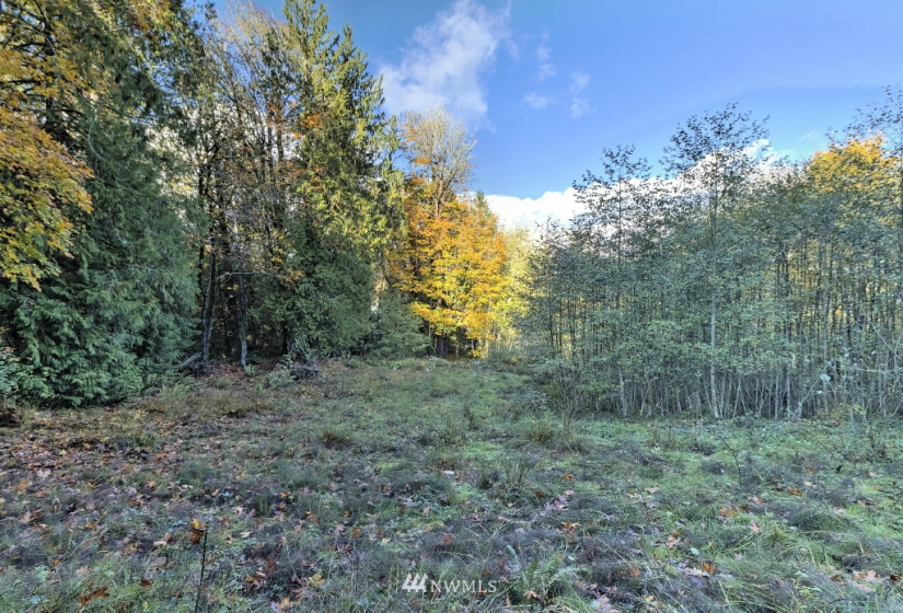 605 Yates, Shelton, Washington 98584, ,Land,For Sale,Yates,NWM1859160