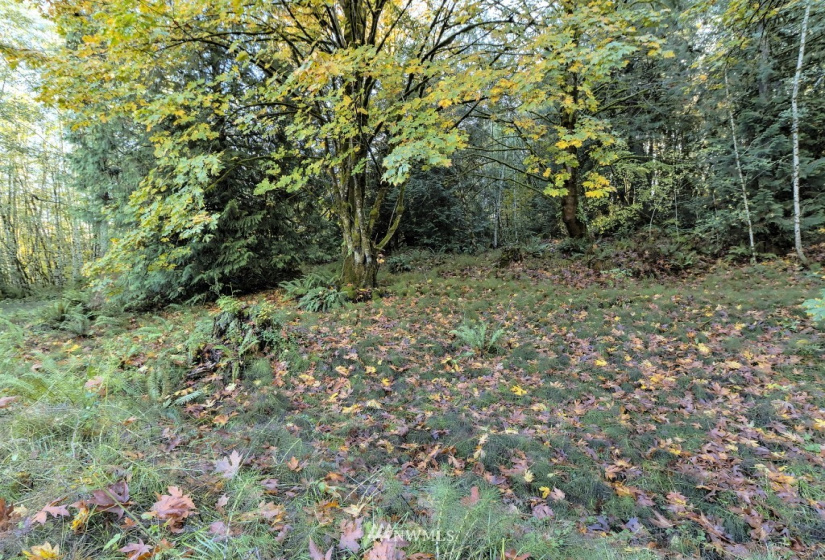 605 Yates, Shelton, Washington 98584, ,Land,For Sale,Yates,NWM1859160