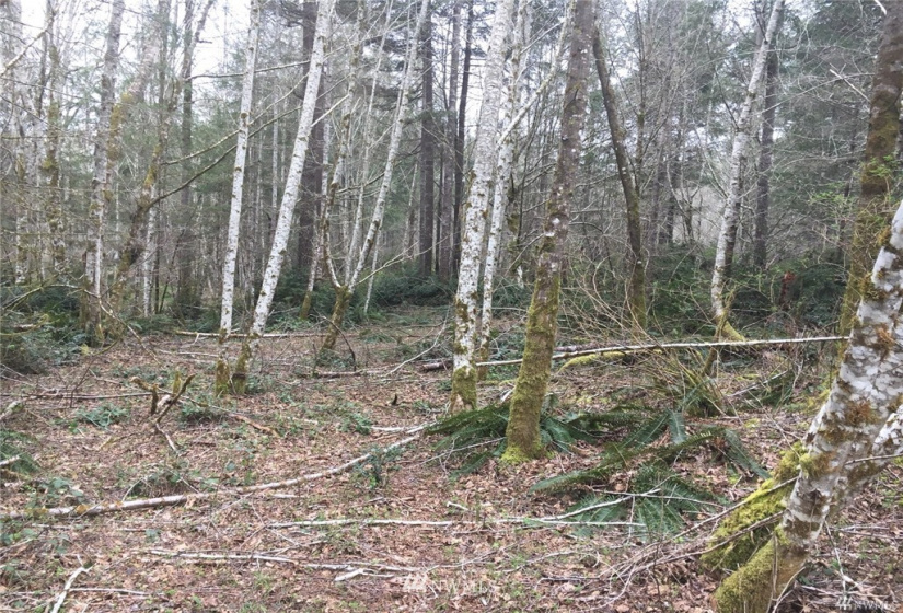 0 144th, Gig Harbor, Washington 98329, ,Land,For Sale,144th,NWM1859418
