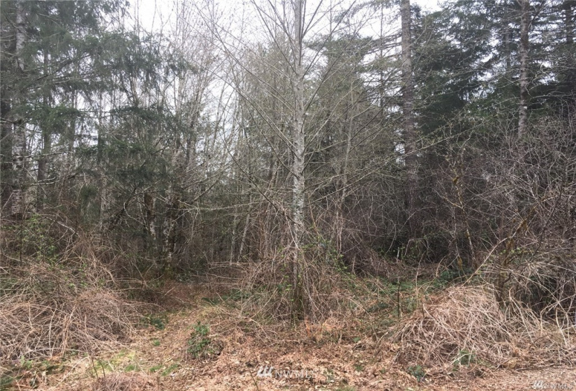 0 144th, Gig Harbor, Washington 98329, ,Land,For Sale,144th,NWM1859418