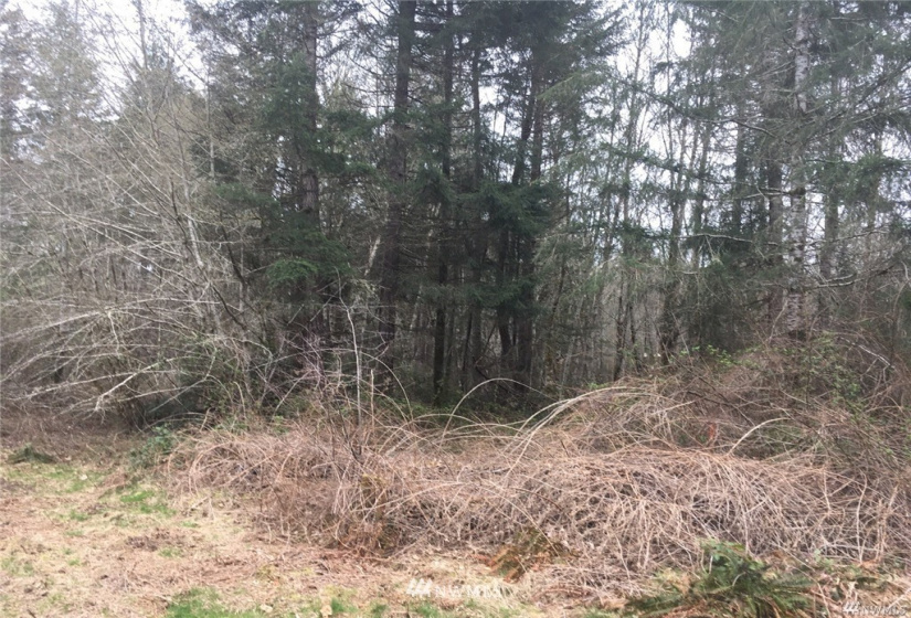 0 144th, Gig Harbor, Washington 98329, ,Land,For Sale,144th,NWM1859418