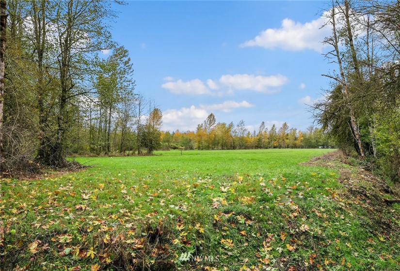 5008 230th, Buckley, Washington 98321, 3 Bedrooms Bedrooms, ,1 BathroomBathrooms,Residential,For Sale,230th,NWM1857457