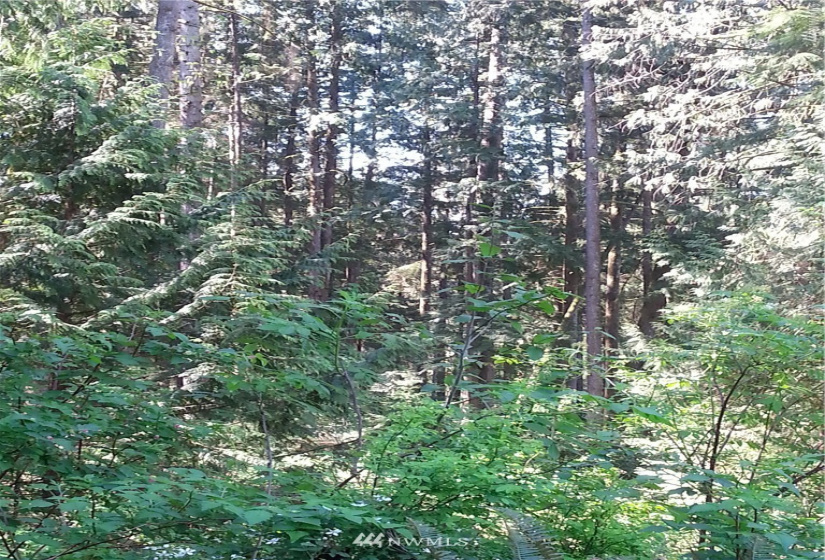 0 0 Bergan, Granite Falls, Washington 98252, ,Land,For Sale,Bergan,NWM1851765