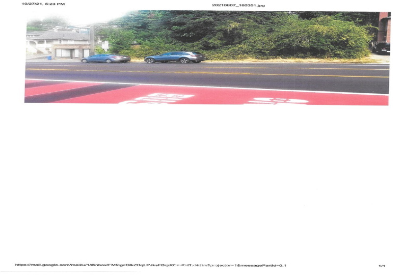 4040 DELRIDGE, Seattle, Washington 98106, ,Land,For Sale,Faegres 1st Add to W S,DELRIDGE,NWM1857765