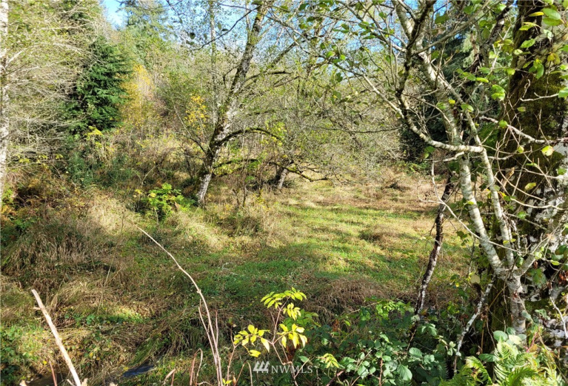 0 xxx Ray, Elma, Washington 98541, ,Land,For Sale,Ray,NWM1859424