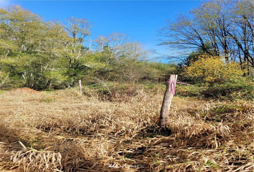 0 xxx Ray, Elma, Washington 98541, ,Land,For Sale,Ray,NWM1859424