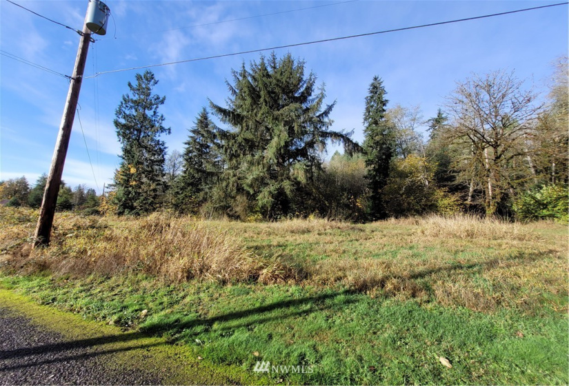 0 xxx Ray, Elma, Washington 98541, ,Land,For Sale,Ray,NWM1859424