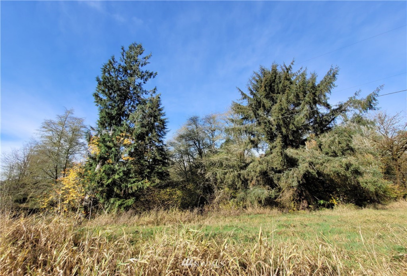 0 xxx Ray, Elma, Washington 98541, ,Land,For Sale,Ray,NWM1859424