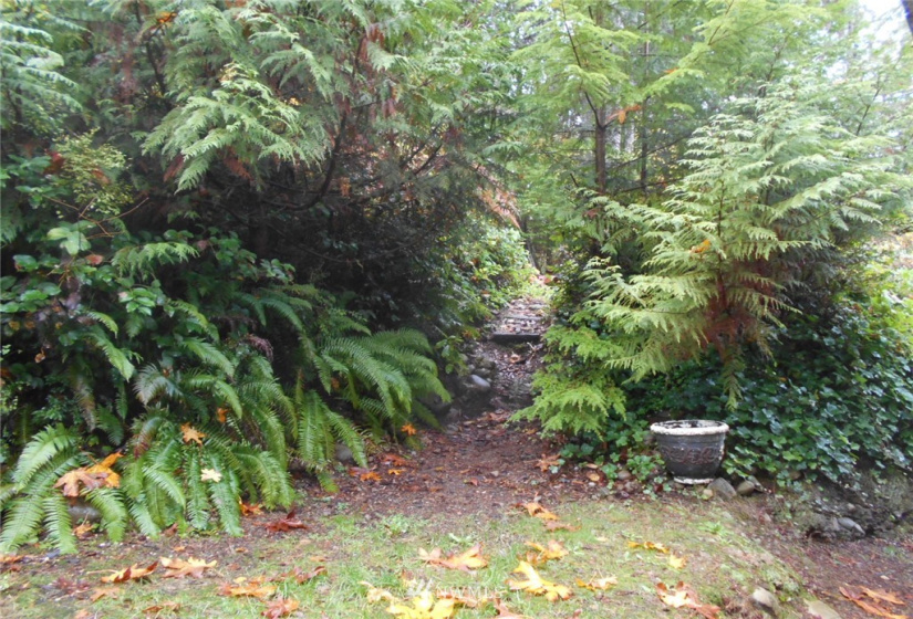 88 Canal Lane, Brinnon, Washington 98320, 1 Bedroom Bedrooms, ,1 BathroomBathrooms,Residential,For Sale,Olympic Canal, Addition 1,Canal Lane,NWM1859611