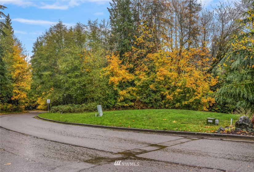 601 Del Guzzi, Port Angeles, Washington 98362, ,Land,For Sale,Del Guzzi,NWM1859797