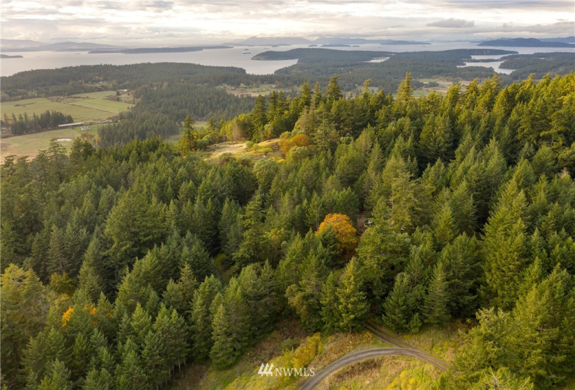 185 Lucky, Friday Harbor, Washington 98250, ,Land,For Sale,Lucky,NWM1854850