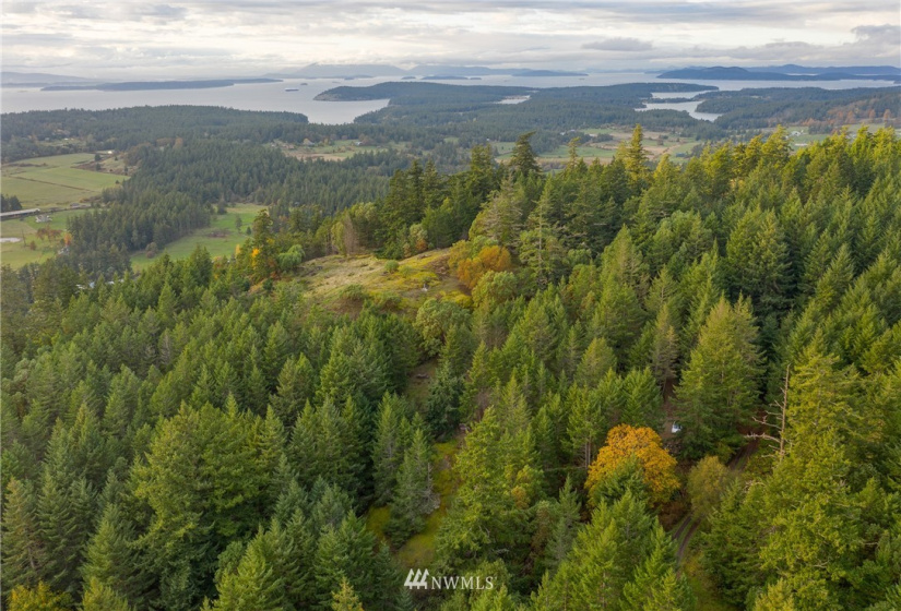 185 Lucky, Friday Harbor, Washington 98250, ,Land,For Sale,Lucky,NWM1854850