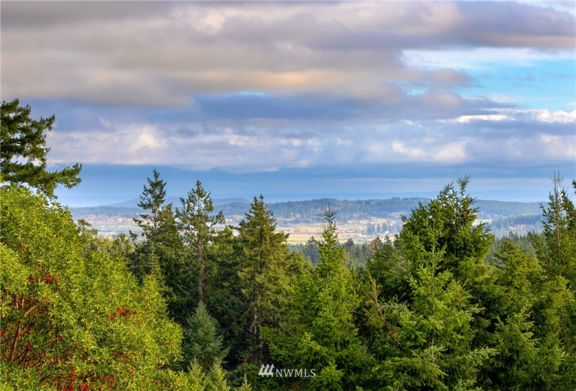 185 Lucky, Friday Harbor, Washington 98250, ,Land,For Sale,Lucky,NWM1854850