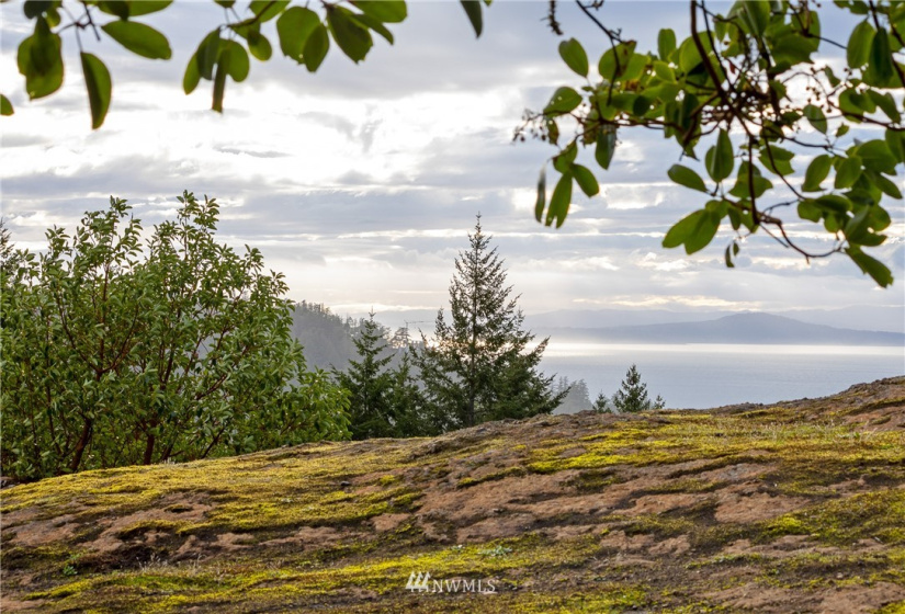 185 Lucky, Friday Harbor, Washington 98250, ,Land,For Sale,Lucky,NWM1854850