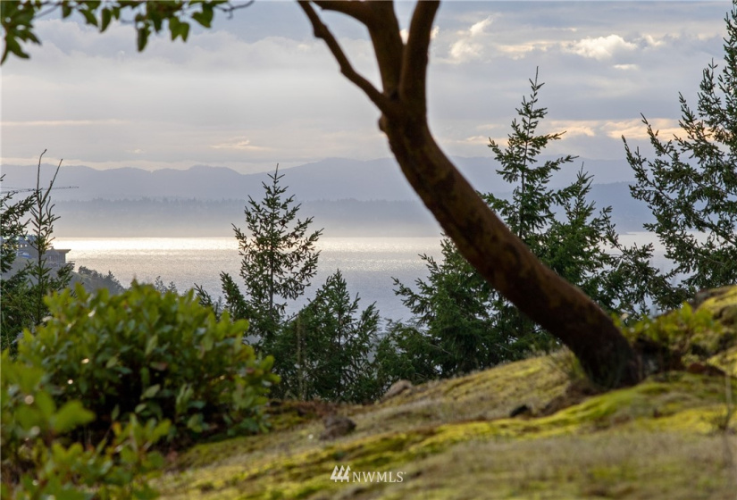 185 Lucky, Friday Harbor, Washington 98250, ,Land,For Sale,Lucky,NWM1854850