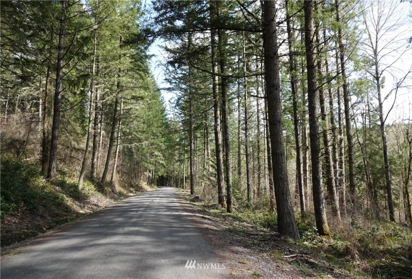 1 408th, Roy, Washington 98328, ,Land,For Sale,Tule Lake,408th,NWM1859905