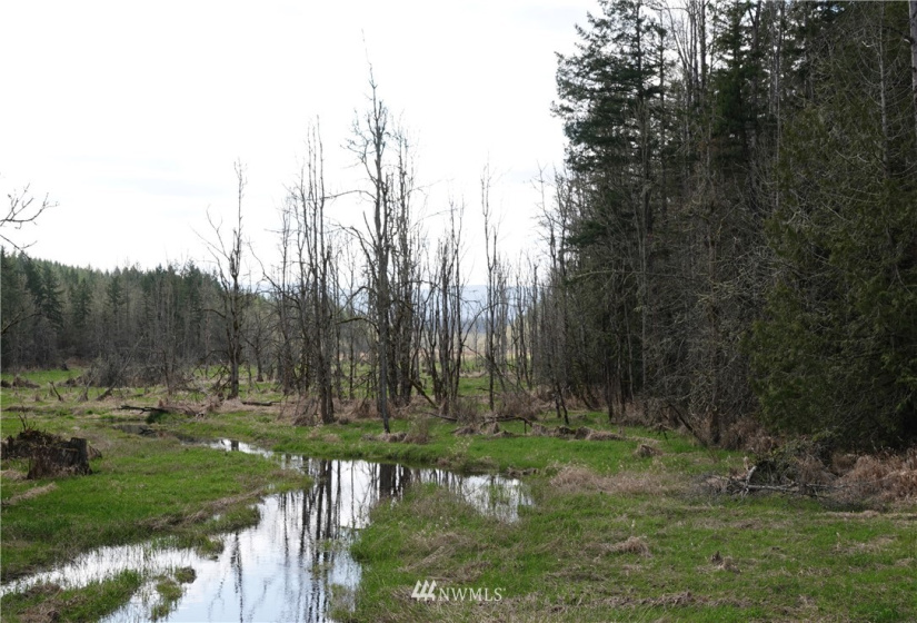1 408th, Roy, Washington 98328, ,Land,For Sale,Tule Lake,408th,NWM1859905