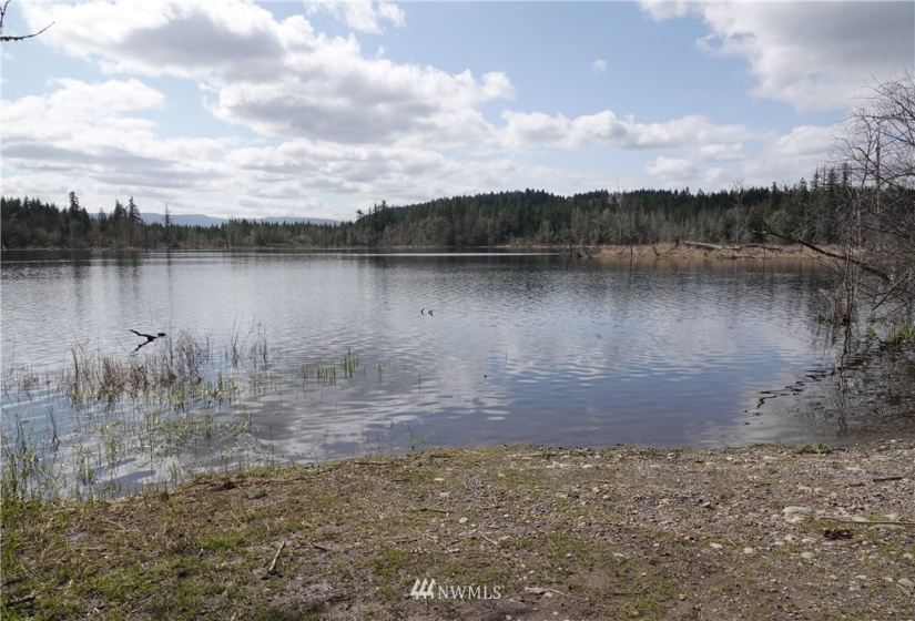 1 408th, Roy, Washington 98328, ,Land,For Sale,Tule Lake,408th,NWM1859905