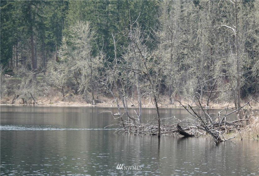 1 408th, Roy, Washington 98328, ,Land,For Sale,Tule Lake,408th,NWM1859905