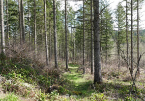 1 408th, Roy, Washington 98328, ,Land,For Sale,Tule Lake,408th,NWM1859905